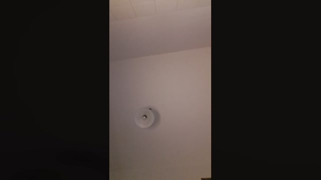 Kittenpurrr  23-01-2023